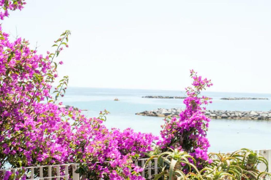 Rosa Centralissimo Sanremo Bagian luar foto